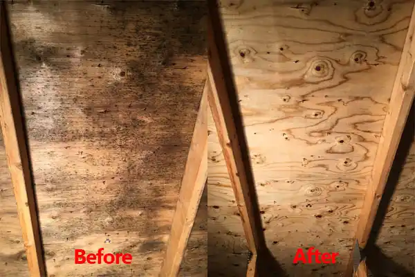 water damage restoration service Wright-Patterson AFB